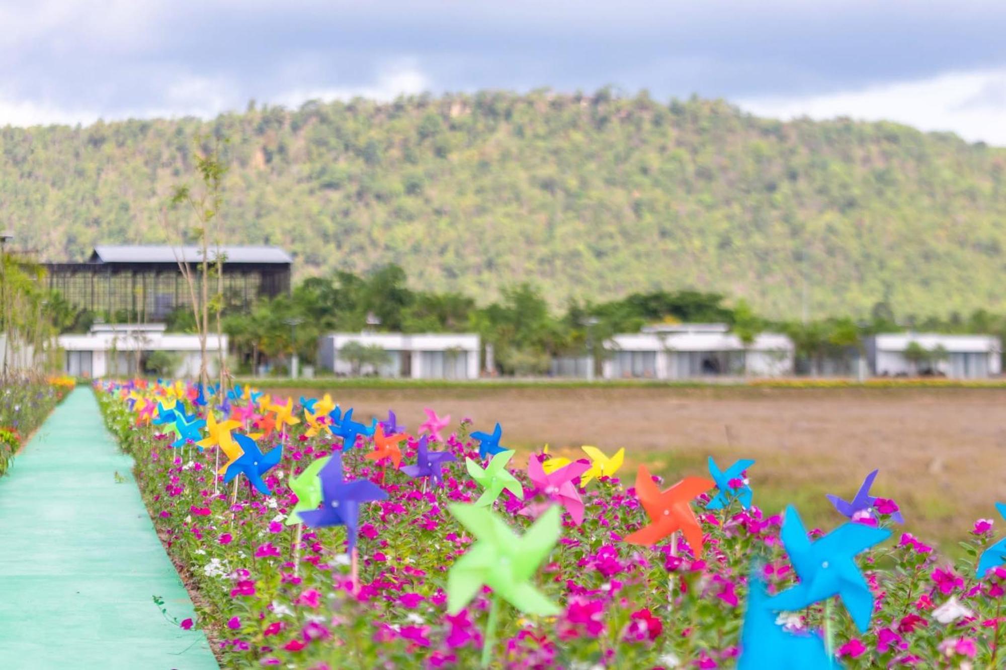 Wonderland Suites And Resort สีหนุวิลล์ ภายนอก รูปภาพ